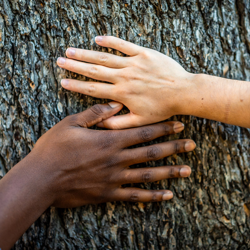 sustainability-2 Revenue Tales - Hospitality Solutions
